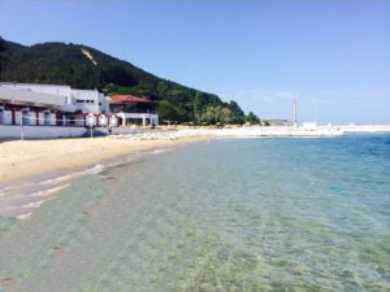 Sarıyer Altınkum Kadınlar Plajı servis hizmeti